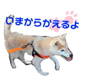 727590255