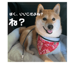 727600773