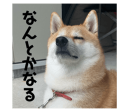 727600775