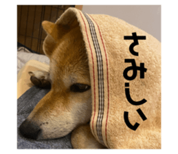 727600779