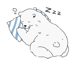 7276055