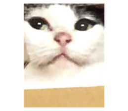 727611494