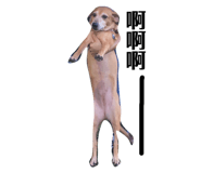 72761350