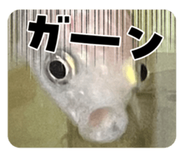 727630391