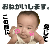 727632587