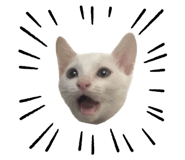727669900