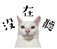 727669904