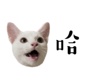 727669905