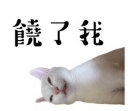 727669911