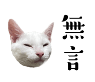 727669916