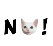 727669917