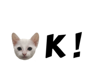 727669918