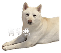 727730517