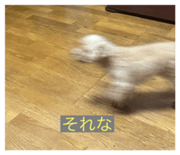 727735237
