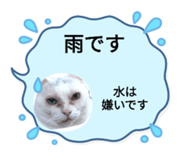 727736134
