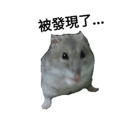 72773649