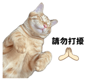 727746731