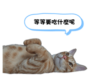 727746741