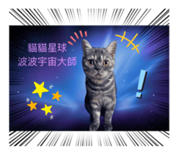 727747361