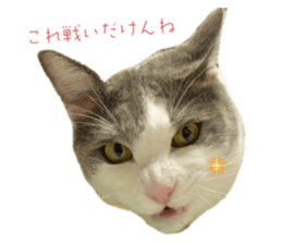 727756401