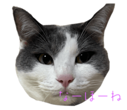 727756414