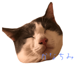 727756415