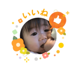 727766066