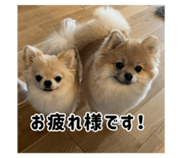 727766116