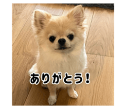 727766118
