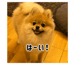727766122