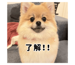 727766123
