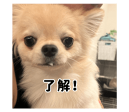 727766127