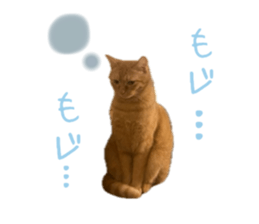 727791869