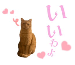727791871