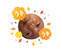 727801584