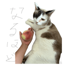727807199