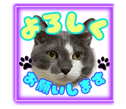 727810300