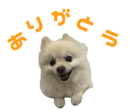 727817505