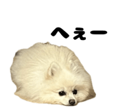 727817507