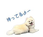 727817510