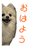 727817513