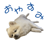 727817514