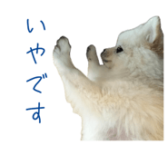 727817518
