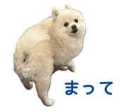 727817519