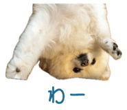 727817520