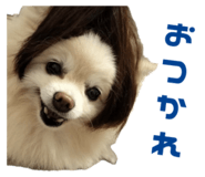 727817521