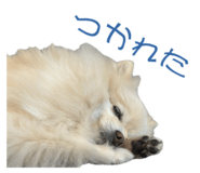 727817522