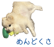 727817523