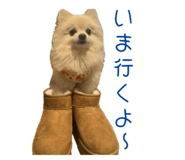 727817525