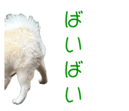 727817527